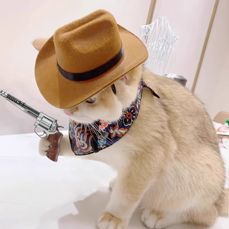 Cowboy Hat Straw - ﻿ Chapéu de cowboy para gato,
